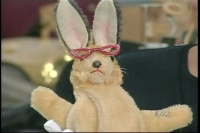 bunny