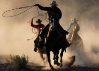 roundup2